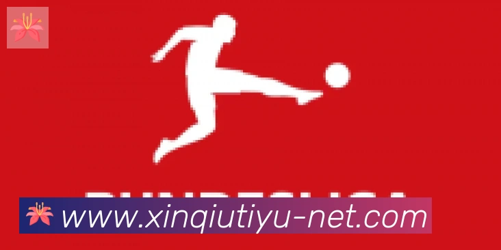 新球体育合作伙伴